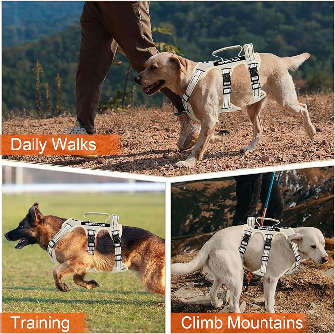 Escape Proof Dog Harness for Large Medium Sized Dogs Six Point Adjustable, Service Dog Vest Harness and Leash Set, No Pull Dogs Harnesses with Handle, Medium Dog Harnesses for Walking(Beige, M)