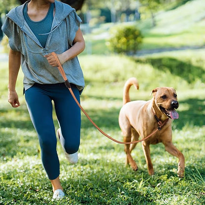 TwoEar 6FT Slip Lead Dog Leash, Heavy Duty Slip Leash for Dogs with Highly Reflective, Strong Rope Slip Leads No Pull Pet Training Leashes for Large Medium Dogs (1/2", Orange)