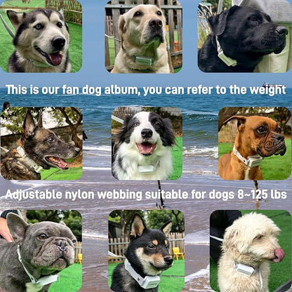 CASMINTON Shock Collar for 2Dogs [CRS01Pro]126 Training Levels, 4 Powerful Modes With 2.8-inch LCD high-definition display100% Safe Training Collar for Large Medium Small Dogs IPX7 Waterproof E Collar