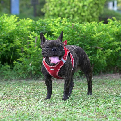 AMTOR Small Dog Harness with Leash Set, No Escape Easy Walk Puppy Harnesses for Training Walking, Step-in Reflective Soft Dogs Vest for XS S Medium Extra-Small Large Sized Dog(XL Size,Red/White)