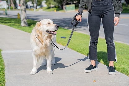 Shed Defender 5 ft. Dog Leash - Three Padded Traffic Handles - Designed in The USA - Dual Layered Thickness for Extra Strength - Reflective Stitching - Large & Small Breed - Training Lead (Pink)