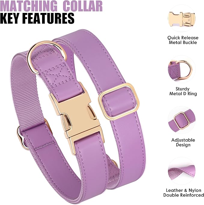 PET ARTIST Soft PU Leather Dog Collar and Leash Set, Bright & Stylish 5FT PU Leather Leash and Collar Set, Durable Pet Collars with Quick Release Metal Buckle for Medium Dogs,Purple,M(13-19")