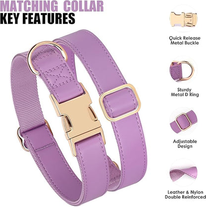 PET ARTIST Soft PU Leather Dog Collar and Leash Set, Bright & Stylish 5FT PU Leather Leash and Collar Set, Durable Pet Collars with Quick Release Metal Buckle for Medium Dogs,Purple,M(13-19")