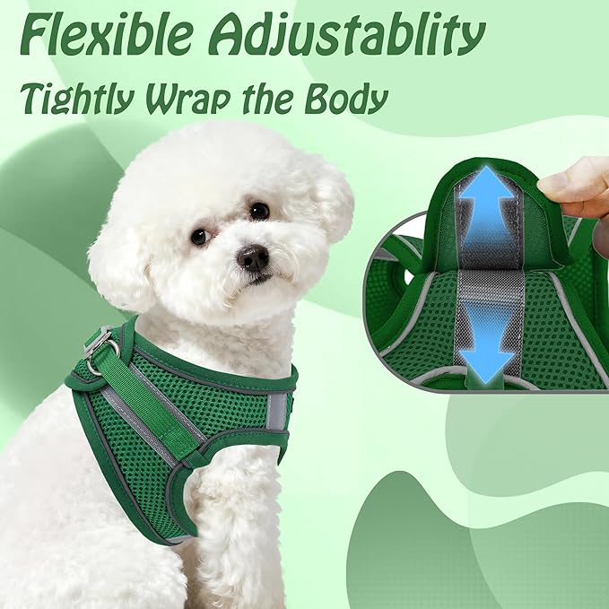AIITLE No Pull Dog Harness and Leash Set, Step in Adjustable Dog Harness with Padded Vest for All Weather, Dog Leash with Soft Padded Handle, Easy to Put on Small and Medium Dogs Green S