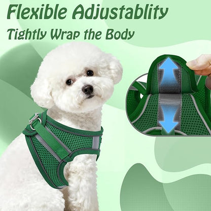AIITLE No Pull Dog Harness and Leash Set, Step in Adjustable Dog Harness with Padded Vest for All Weather, Dog Leash with Soft Padded Handle, Easy to Put on Small and Medium Dogs Green S