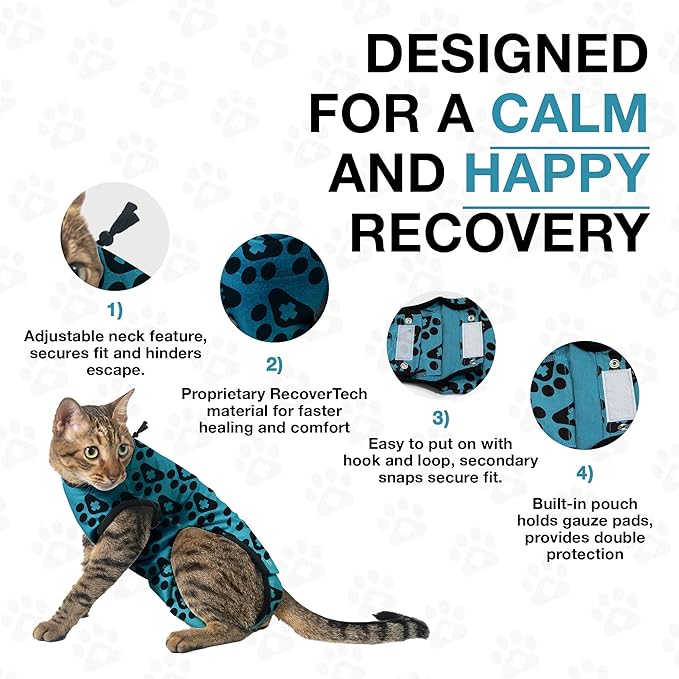 BellyGuard Cat Recovery Suit for Female and Male, Cat Surgery Suit Alternative, Onesie for After Spay Care, Post-Surgery Protective Body Cover for Feline and Kitten Healing