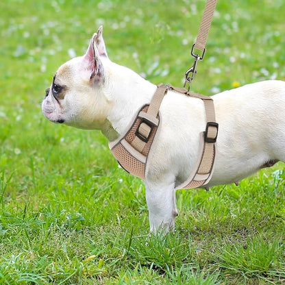 PUPTECK Small Dog Harness and Leash Set, No Pull Adjustable Puppy Cat Harness, Reflective Soft Mesh Pet Vest Small Sized, Khaki, XS