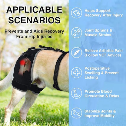 Hip Dysplasia Brace for Dogs with Hot/Cold Pack — Breathable and Comfortable Hip Support for Mild Torn ACL, Arthritis & Post-Recovery Mobility, Size XL