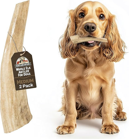 Heartland Elk Antlers for Dogs - Daily Dental Care Chews for Aggressive Chewers to Reduce Plaque & Prevent Destructive Behavior (Whole, Splinter Free, 5-6", Medium, 2-Pack, Grade A, USA Made)