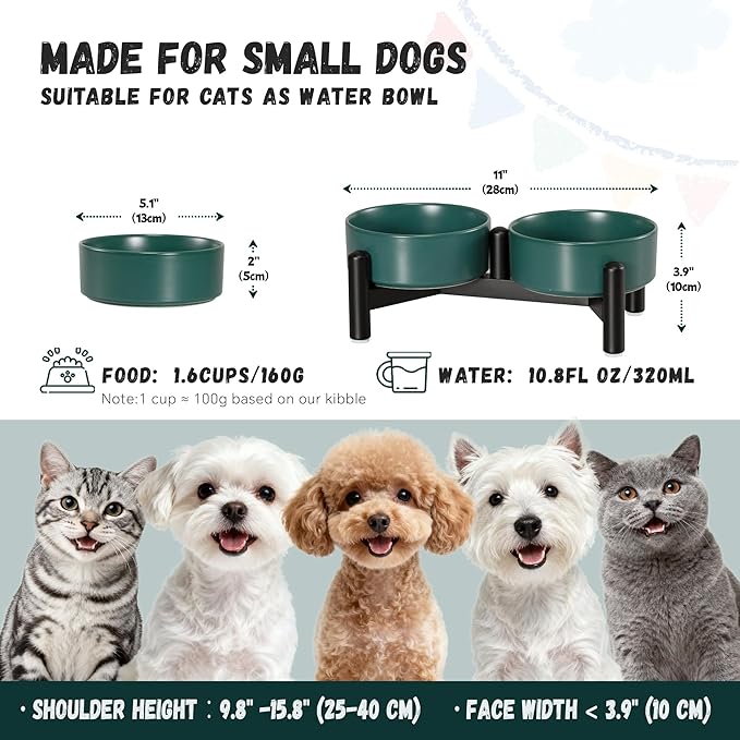 Raised Ceramic Dog Bowl Set - Elevated Double Dishes with Stainless Steel Stand - Food and Water Bowls for Small Dogs and Indoor Cats - Each Holds 1.6 Cups (10.8 fl oz) - Green