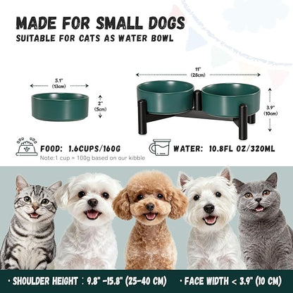 Raised Ceramic Dog Bowl Set - Elevated Double Dishes with Stainless Steel Stand - Food and Water Bowls for Small Dogs and Indoor Cats - Each Holds 1.6 Cups (10.8 fl oz) - Green