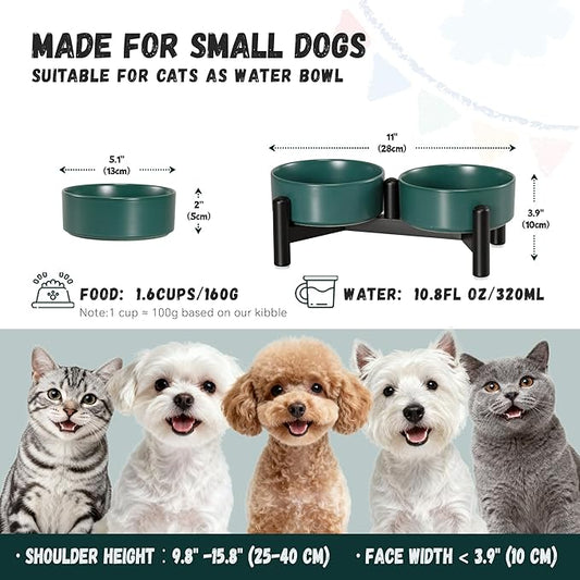 Raised Ceramic Dog Bowl Set - Elevated Double Dishes with Stainless Steel Stand - Food and Water Bowls for Small Dogs and Indoor Cats - Each Holds 1.6 Cups (10.8 fl oz) - Green