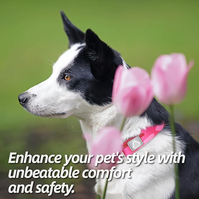 Soft Padded Dog Collar, Neck 16’’-25’’, Adjustable Heavy Duty Collar with 3M Reflective Logo for Medium, Large Dogs, Camo Pink, L