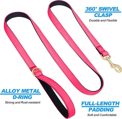 Didog 5FT Colorful Nylon Dog Leash with Soft Full-Length Padding, Lightweight and Durable Pet Leash for Small Dogs, Pink, S