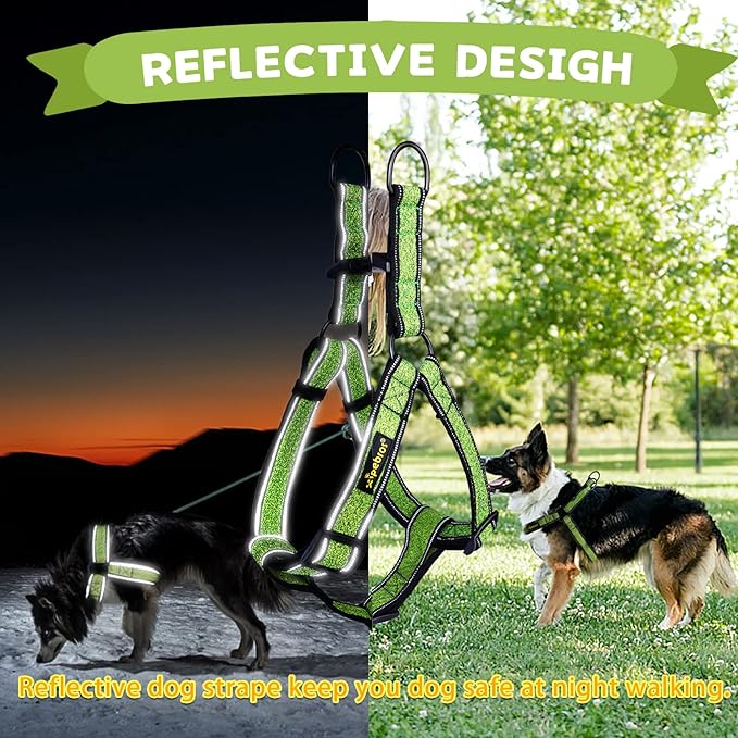 Xipebros No Pull Dog Harness with Reflective Adjustable,Stops Pets from Pulling and Choking On Walks for Large Dogs (Green, XXL)