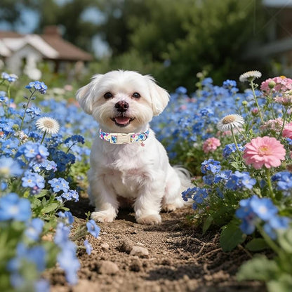 Lionet Paws Floral Dog Collar- Cute Spring Wildflowers Daisy Forget Me Not Dog Collars with Plastic Buckle, Light Adjustable Dog Collars for Medium Dogs