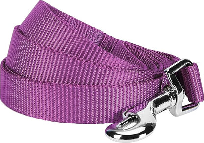 Blueberry Pet Essentials Violet Dog Leash for Large - 4' * 1" Dogs | Heavy Duty Nylon Lead | Lightweight Puppy & Cat Leash for Walking & Training