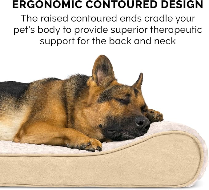 Furhaven Cooling Gel Dog Bed for Medium/Small Dogs w/ Removable Washable Cover, For Dogs Up to 23 lbs - Ultra Plush Faux Fur & Suede Luxe Lounger Contour Mattress - Cream, Medium