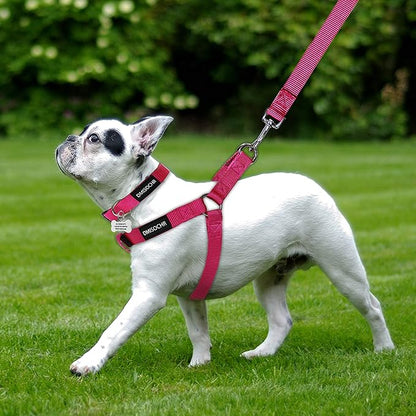 No Pull Dog Harness - Adjustable Step-in Harness & Leash Set for Small, Medium, Large Dogs - Escape Proof Soft Pet Harness for Walking, Training, Hiking, Outdoor Activities