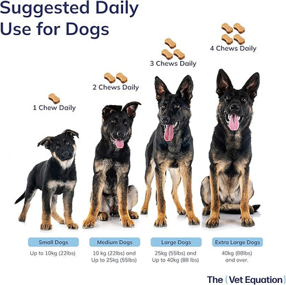 Joints & Mobility Support for Dogs – Duck-Flavored, 90 Chews – with Glucosamine, Chondroitin & Hyaluronic Acid – Supports Joint Health, Cartilage & Flexibility for Active Mobility