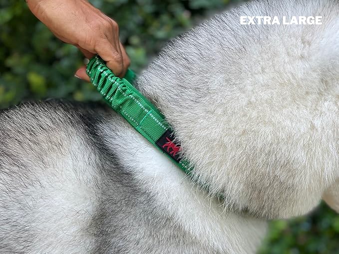 Tuff Pupper Heavy Duty Dog Collar with Handle | Ballistic Nylon Heavy Duty Collar | Padded Reflective Dog Collar with Adjustable Stainless Steel Hardware | Convenient Sizing for All Breeds