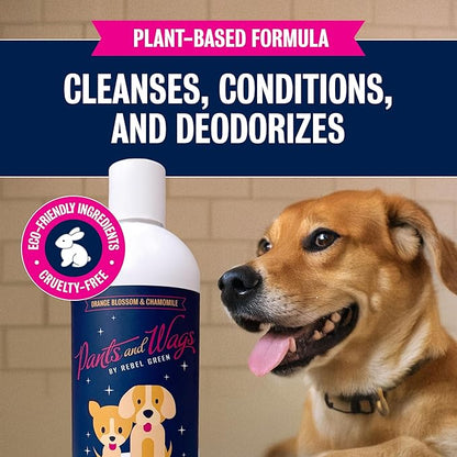 Pants and Wags by Rebel Green Squeaky Clean Pet Shampoo Concentrate - Orange Blossom & Chamomile - Hypoallergenic - No Dyes or Perfumes - 16 oz - 2 Pack