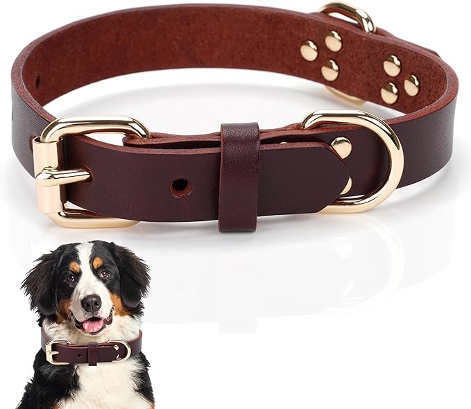 100% Real Leather Dog Collar, Premium Adjustable Fit with Durable Buckle, Stylish Comfort for Dogs (Small)