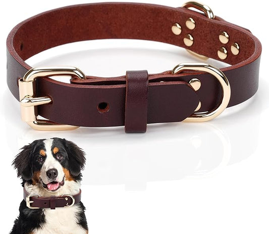 100% Real Leather Dog Collar, Premium Adjustable Fit with Durable Buckle, Stylish Comfort for Dogs (Small)