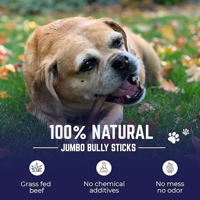 Devil Dog Pet Co. Bully Sticks – 6 Inch, 5 Pack, Standard Sized Dog Chews, 100% Natural, Single Ingredient, Free-Range Grass-Fed Beef – Long Lasting, Rawhide-Free Treats for Dogs
