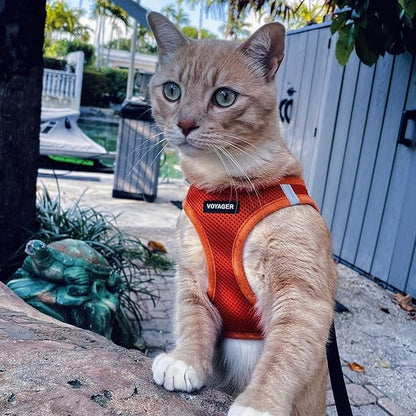 Best Pet Supplies Voyager Step-in Air Harness - All Weather Mesh, Reflective, No Pull Harness for Dogs, Cats - Secure with Hook & Loop Fastener, Buckle, Double D-Rings - Orange, L