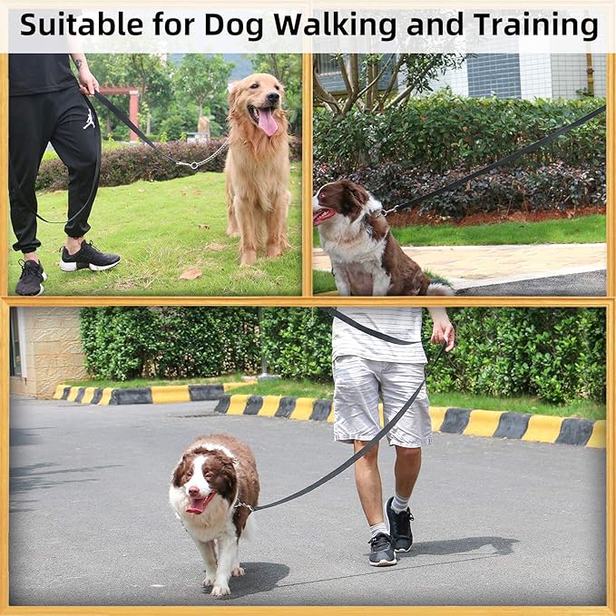 AMAGOOD 6 FT Puppy/Dog Leash, Strong and Durable Traditional Style Leash with Easy to Use Collar Hook, Great for Small, Medium and Large Dogs (1 in x 6 ft(Pack of 1), Black)