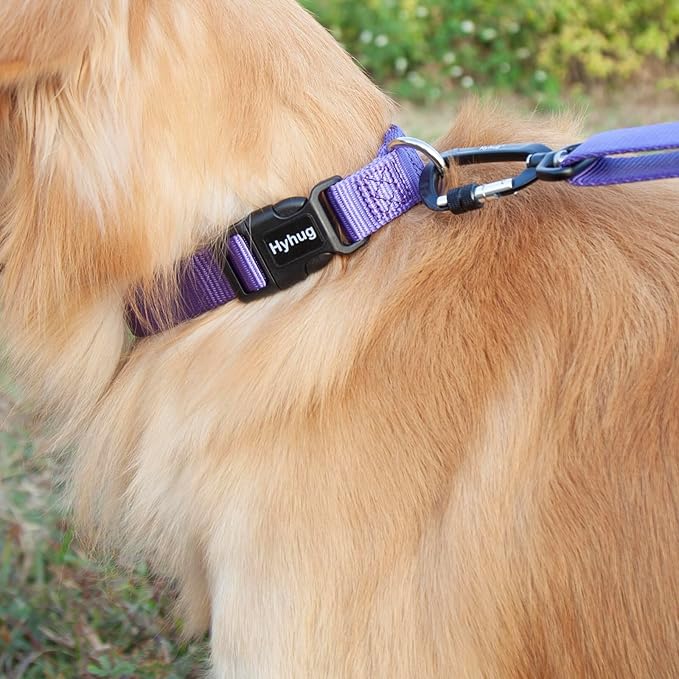 Hyhug Dog Collar for Large Dogs, Heavy Duty | Quick Release Nylon Buckle Collar, Adjustable & Durable Pet Supplies for Boy & Girl Dogs (Large, Ultra Violet)
