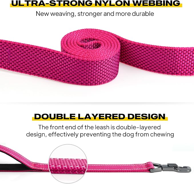 Fida 6 FT Heavy Duty Dog Leash with 2 Comfortable Padded Handles, Traffic Handle & Advanced Easy Snap Hook, Reflective Walking Lead for Large, Medium & Small Breed Dogs, Rose