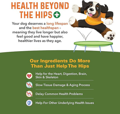 Bernie's Healthy Hips - Daily Dog Hip & Joint Supplement - 90 Soft Chews - Reduce Pain, Encourage Mobility, Slow Damage, Repair and Rebuild Hips & Joint Tissues