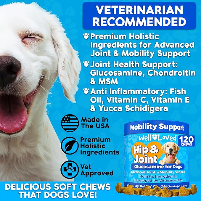 Well Loved Glucosamine for Dogs - Joint Supplement for Dogs, Made in USA, Vet Developed, Glucosamine Chondroitin, Hip and Joint Chews with MSM, Large Breed, Pain Relief, 120 Chews