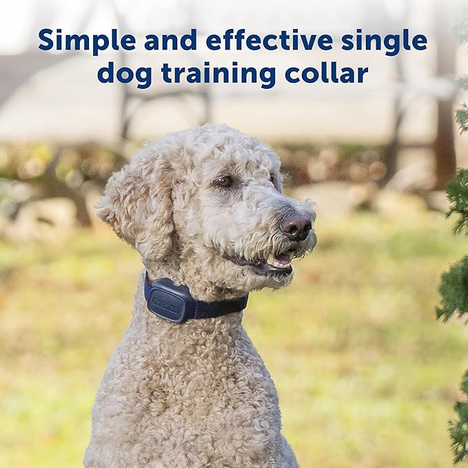 PetSafe Basic Dog Trainer with Remote - Effective Dog Training - 15 Levels of Static Correction - Waterproof Collar - Rechargeable Training Collar - Compact Remote Transmitter