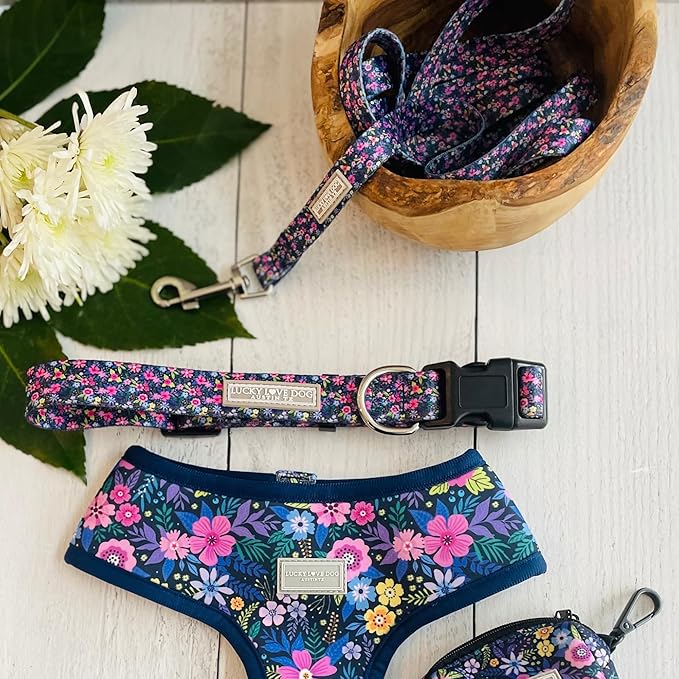 Lucky Love Dog, Matching Dog Collar & Leash Set for Female Dogs, Soft, Adjustable, Safe for Training and Walking, Black & Purple Floral Print, Primrose Combo, X-Small