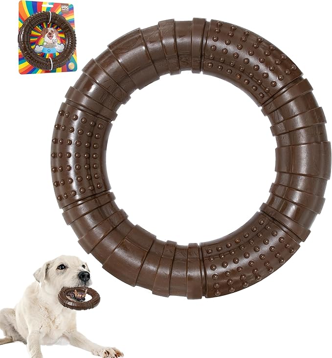 IPTPAS Tough Dog Chew Toy for Aggressive Chewers, Indestructible Beef Flavor Nylon Bone, Durable Dental Toy for Teeth Cleaning & Anxiety Relief, for Small Medium Large Dogs, Keep Them Busy (Brown-O)