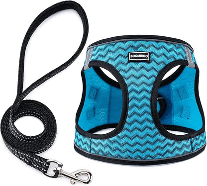 BOOMIBOO Dog Harness with Leash Set, No Pull Adjustable Reflective Step-in Puppy Pet Vest Harnesses for Small Medium Large Dogs and Cats,Blue Stripe XXS