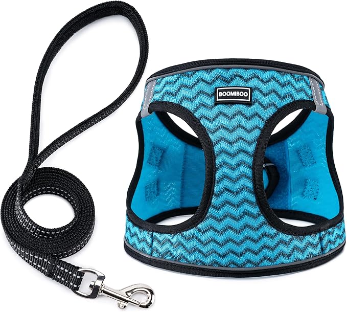 BOOMIBOO Dog Harness with Leash Set, No Pull Adjustable Reflective Step-in Puppy Pet Vest Harnesses for Small Medium Large Dogs and Cats,Blue Stripe XS