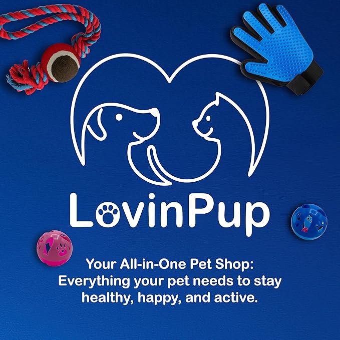 LOVINPUP Large Cat Ball Toy with Bell – Interactive Rolling Design for Active Play – Sturdy Plastic Cat Toy Ball That Stays Visible During Play – Blue 1 Pack for Cats, Kittens, and Small Pets