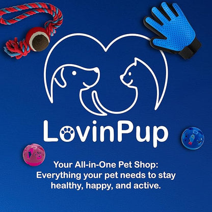 LOVINPUP Large Cat Ball Toy with Bell – Interactive Rolling Design for Active Play – Sturdy Plastic Cat Toy Ball That Stays Visible During Play – Blue 1 Pack for Cats, Kittens, and Small Pets