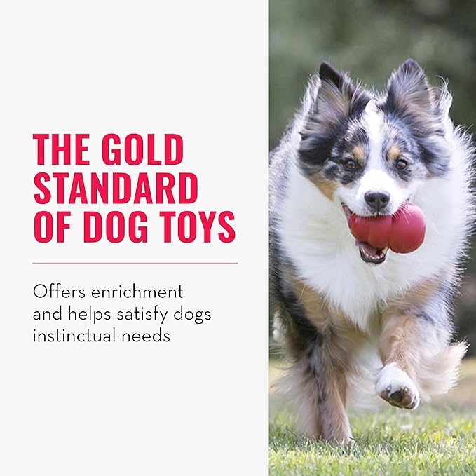 KONG Classic Stuffable Dog Toy - Fetch & Chew Toy for Dogs - Treat-Filling Capabilities & Erratic Bounce for Extended Play Time - Durable Natural Rubber Material - for Large Dogs (Pack of 2)