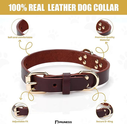 100% Real Leather Dog Collar and Leash Set, Premium Adjustable Fit with Durable Buckle, Stylish Comfort for Dogs (Medium)
