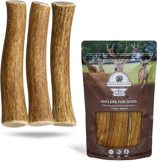 Whitetail Naturals - 3 Pack Medium - Deer Antler Dog Chews - Antlers for Medium Dogs - Long Lasting, Naturally Shed Antler Dog Bones