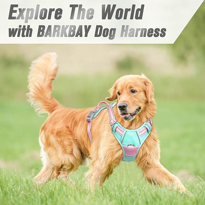 BARKBAY No Pull Dog Harness Front Clip Heavy Duty Reflective Easy Control Handle for Large Dog Walking(Cool Mint & Baby Pink,M)