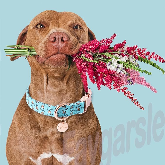 Faygarsle Blue Dog Collar for Small Medium Large Dogs Cute Puppy Collars for Female Dogs Funny Dog Collars for Summer Spring Wedding Necklace Girl Dog Collar L