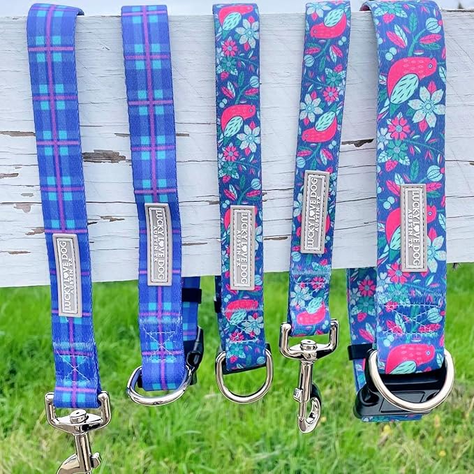 Lucky Love Dog Blue and Violet Plaid Dog Leash - Comfy & Soft & Cute for Boy and Girl Dogs - Small, Scotty