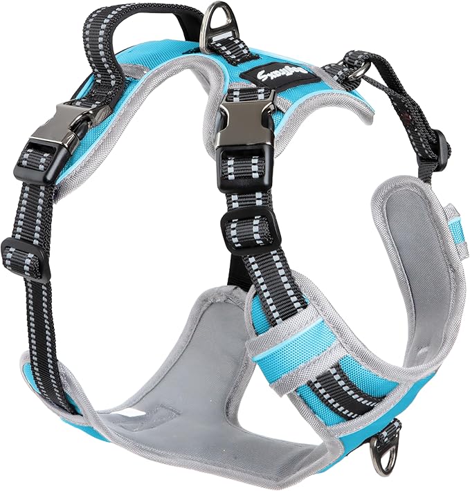DogTraxs - Step-in Dog Harness - for Large Dogs - Soft Padding & Reflective Trim - Adjustable No Pull Through Design - Control Handle - Top & Front Clip Durable - Sky Blue