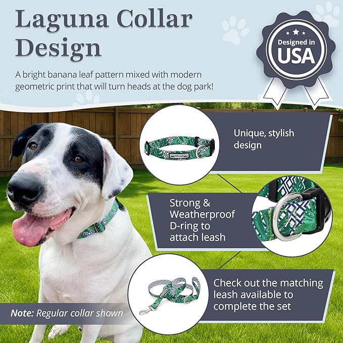Lucky Love Dog Collar and Leash Set, Beautiful & Vivid Patterns, Easy On & Off Clasp Accessory (Blue Laguna, S Combo)